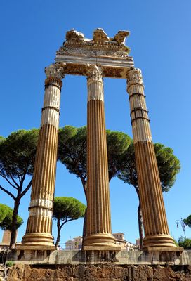 Tempio di Venere Genitrice, Foro Romano, Rome