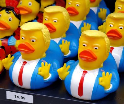Dream Duck, Rome