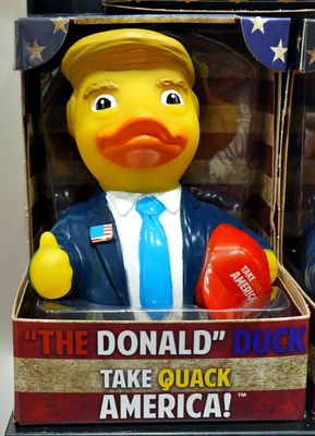 Dream Duck, Rome