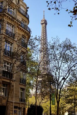 Eiffel Tower from Av. de la Bourdonnais