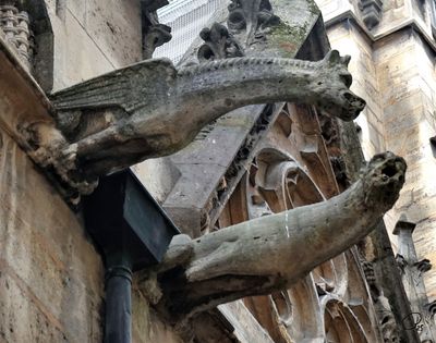 Gargoyles, Église Saint-Séverin