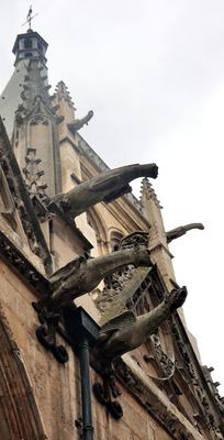 Gargoyles, Église Saint-Séverin