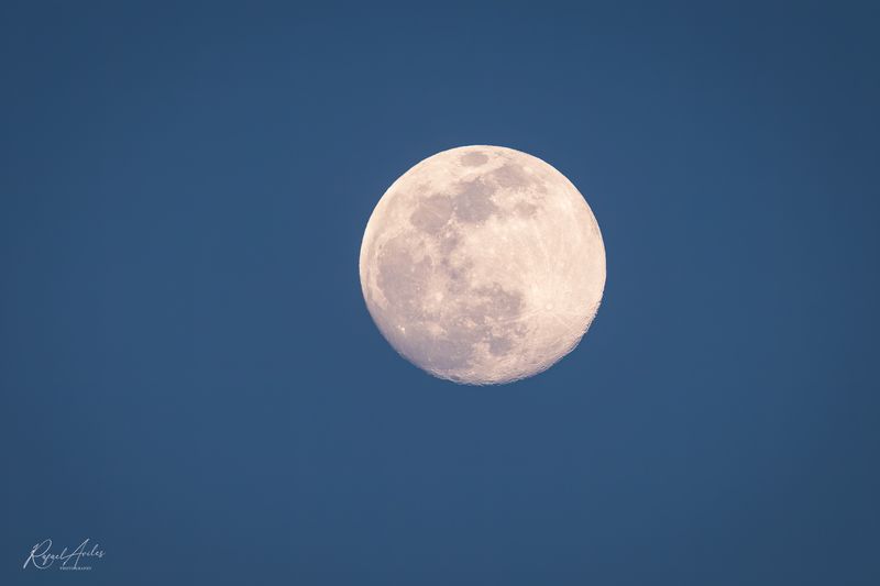 The Moon, almost full, in the golden hour