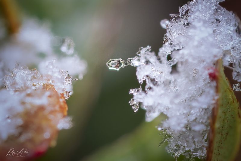 Ice crystals