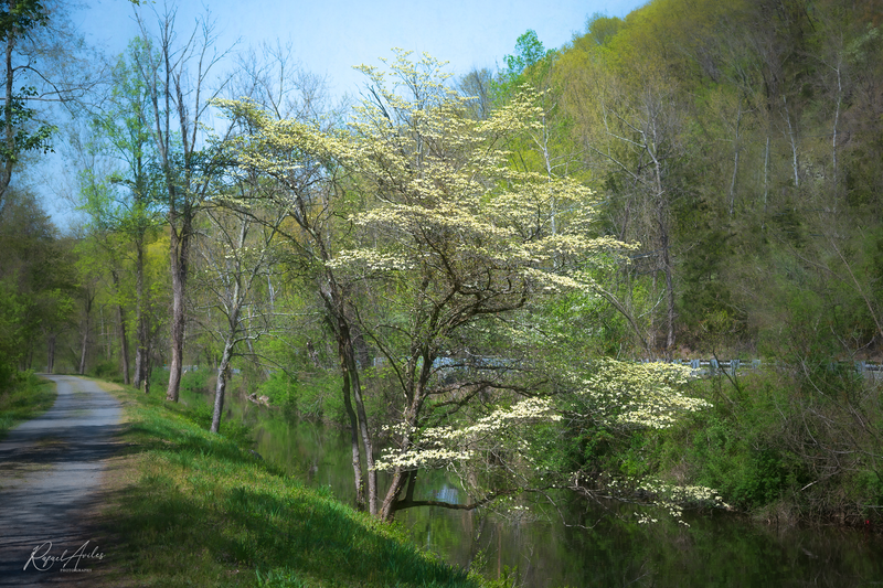 On a beautiful spring day