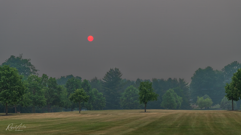 Red sun in the haze created by the Canadian wildfires of 2023.