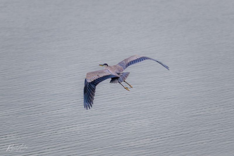 Flying over Lake Galena