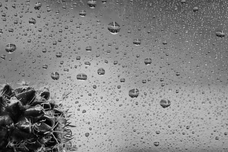 Thorns and drops