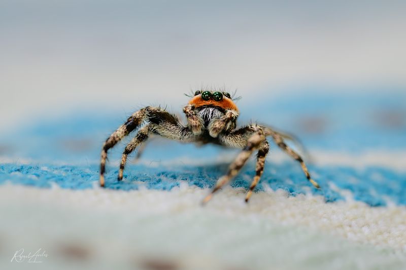 Those lashes! Maybe it's Maybelline?