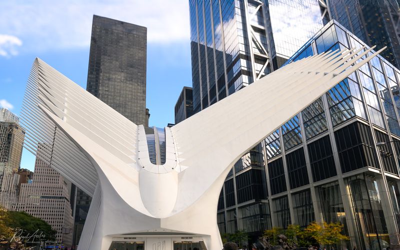 The Oculus