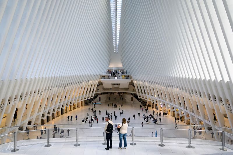 Inside the Oculus