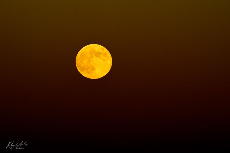 Beaver Moon at sunset