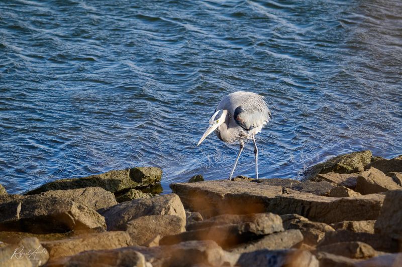 Making itself small against a strong headwind
