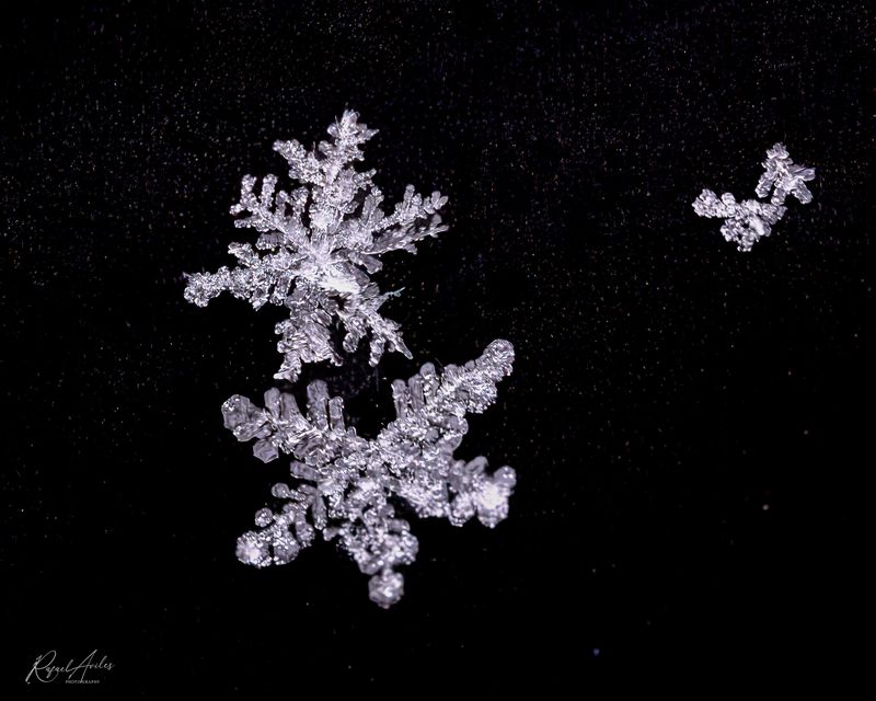 Let it snow