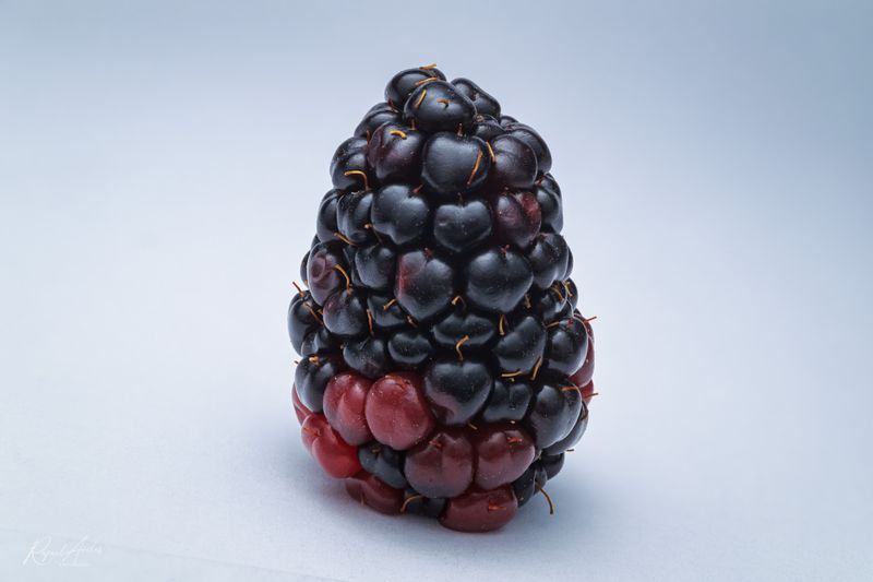Blackberry