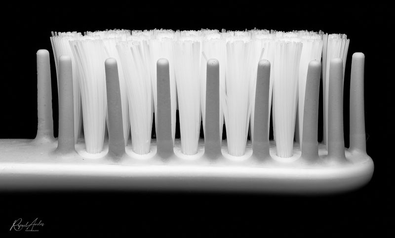 Bristles