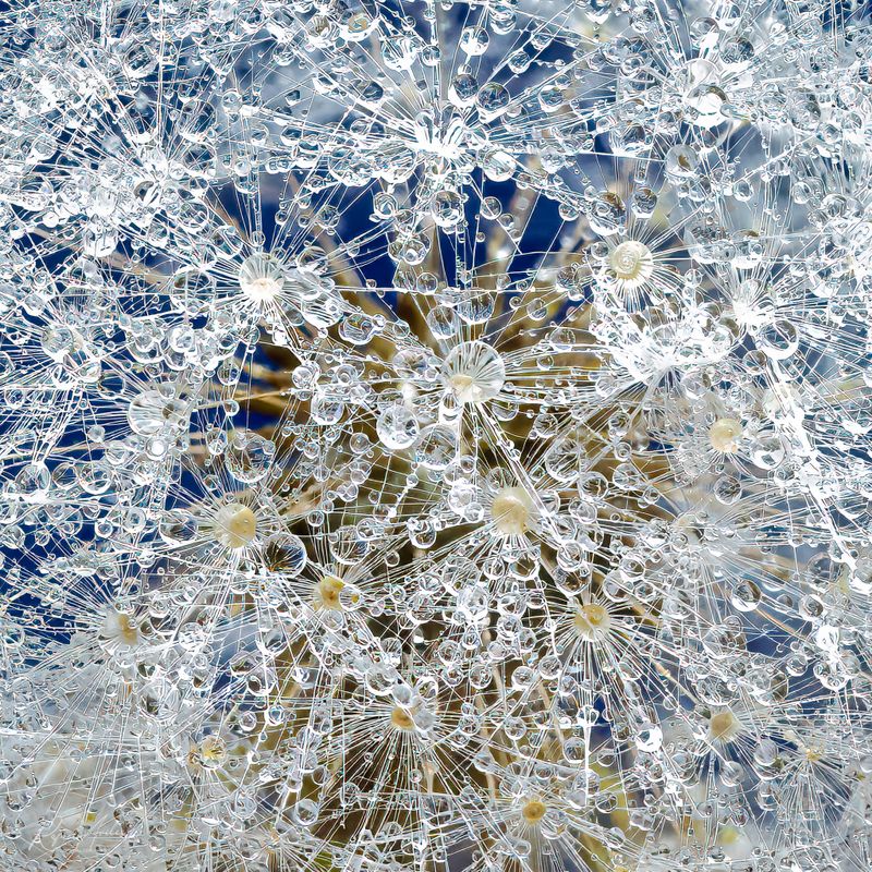 Abstracts and Minimalism