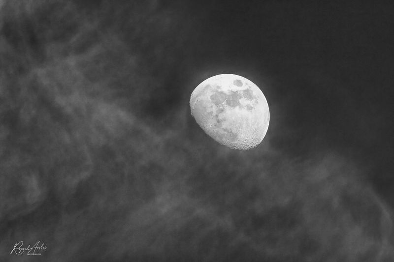 Monochrome