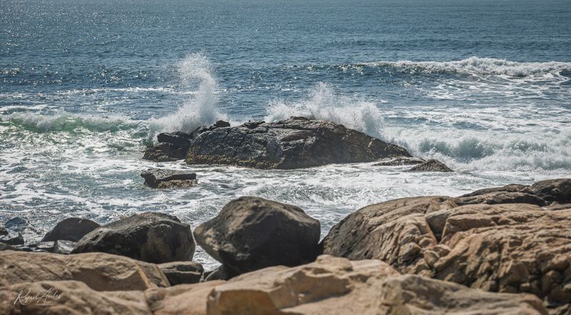 Black Point Trail