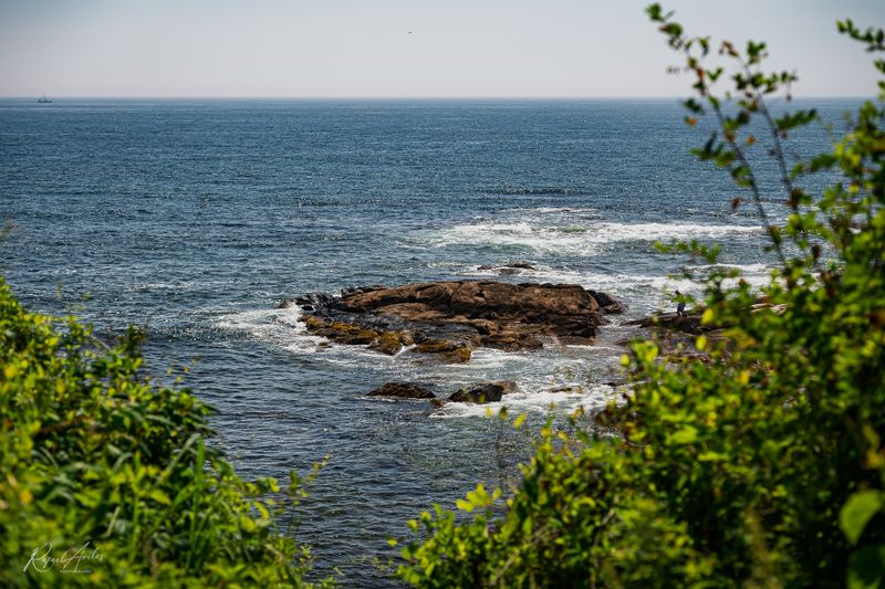 Rhode Island Views