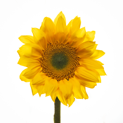 g13/45/52545/3/173866626.f2a9c4d6.PNG
