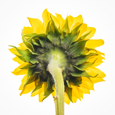 g13/45/52545/3/173867530.1904c700.PNG