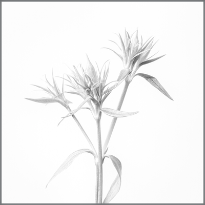 g13/45/52545/3/173945956.d8c6865e.PNG