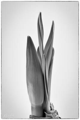 g13/45/52545/3/174248719.03637cb9.PNG