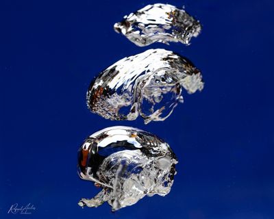 g13/45/52545/3/174777453.07b53aa9.JPEG