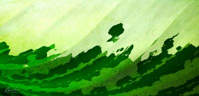 g13/45/52545/3/175015206.c6d59265.JPEG