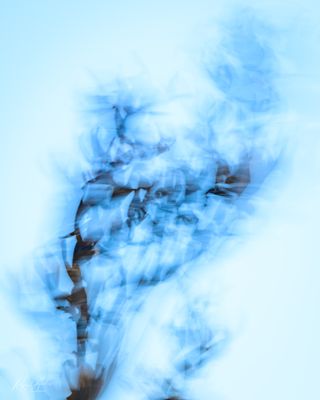 g13/45/52545/3/175036284.63cebc72.JPEG