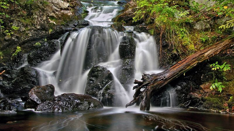 Pierre Joly PHOTOGRAPHE FocusNature