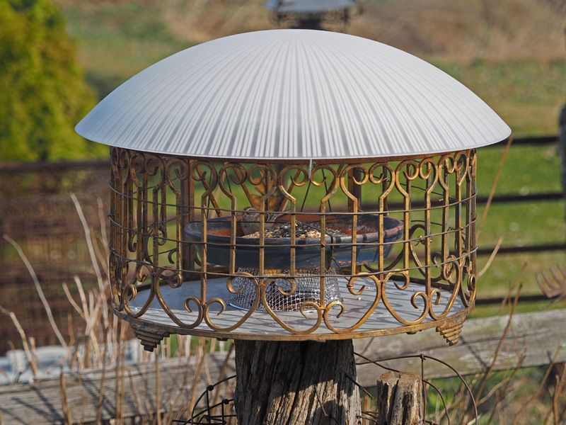 Mangeoirs /Anti-Gros-Oiseaux-cureils-Ratons