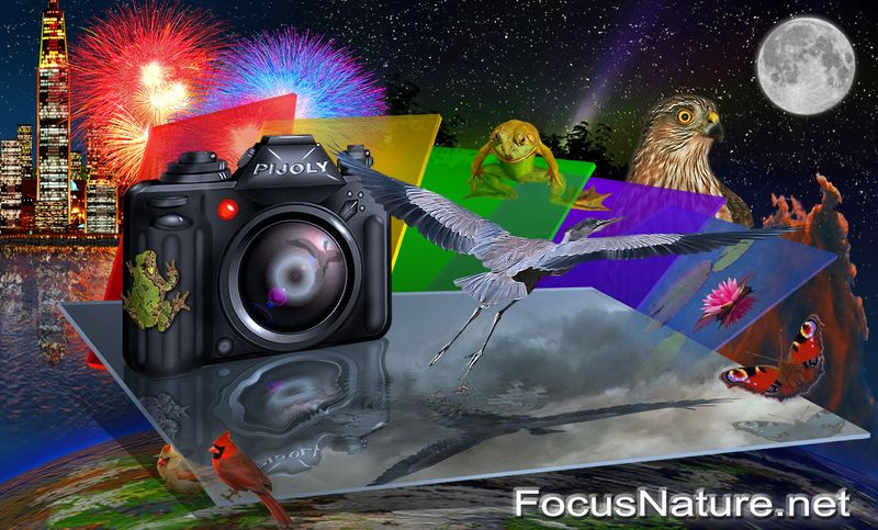 Pierre Joly PHOTOGRAPHE FocusNature