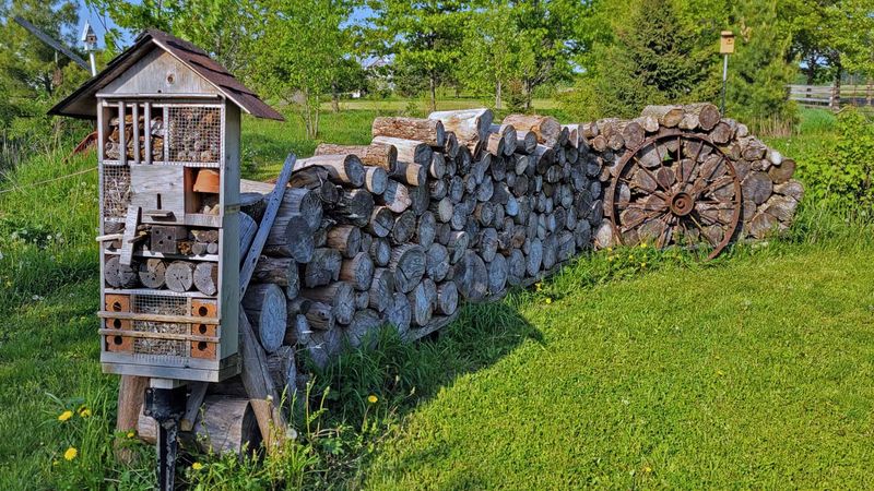 CONDO pour insectes (Don de Famille Charon)