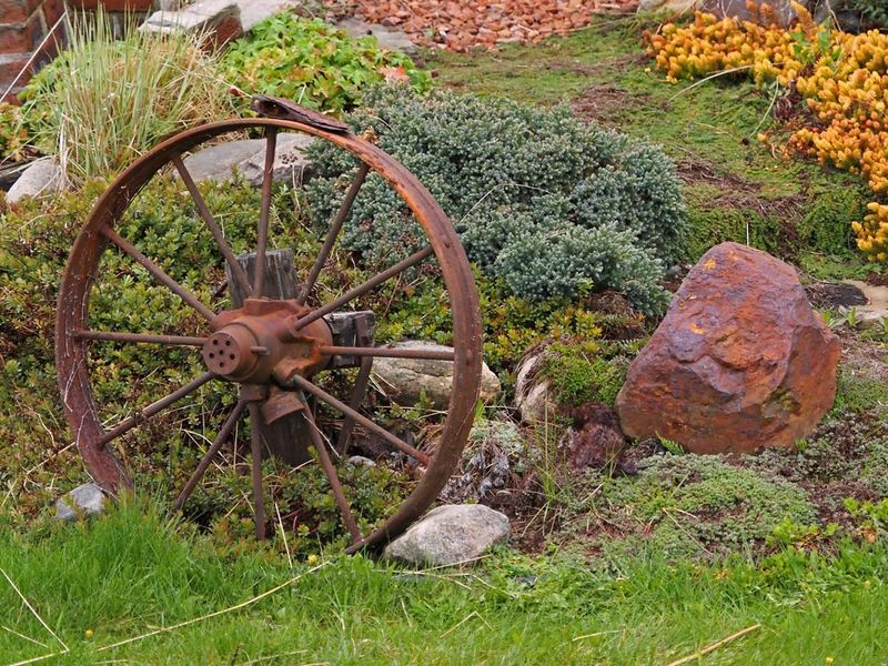 Il est l!...(Vison dAmrique)