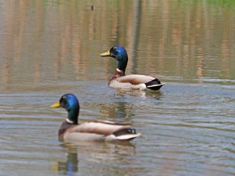 3 MAI 2024  Lco-Lot / Full visiteurs