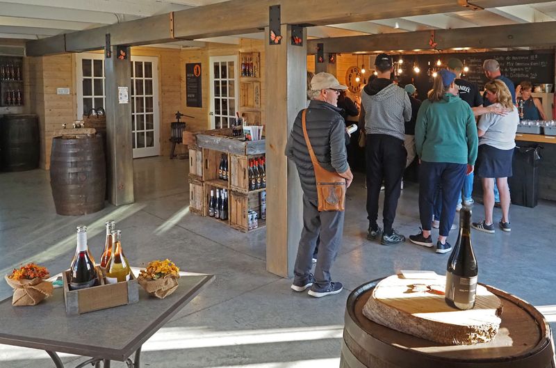 LES VENDANGES DU MOUTON NOIR 2024