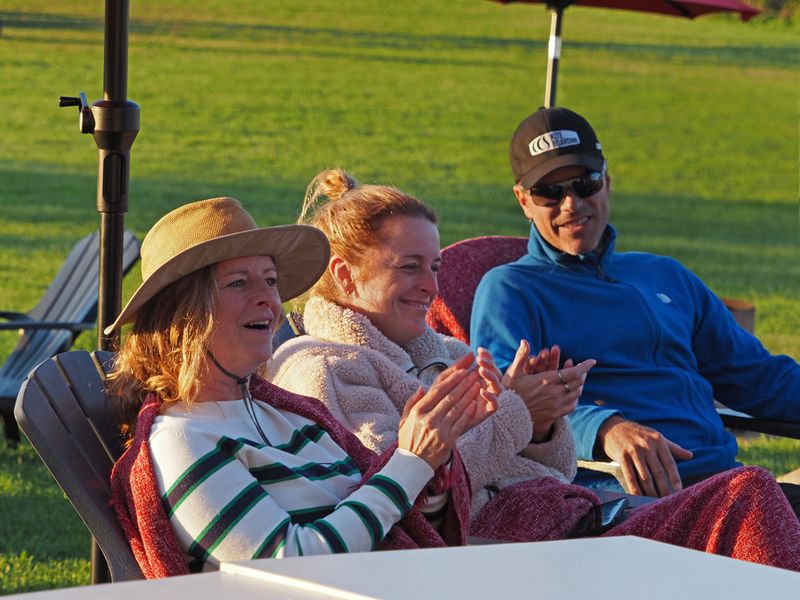 LES VENDANGES DU MOUTON NOIR 2024