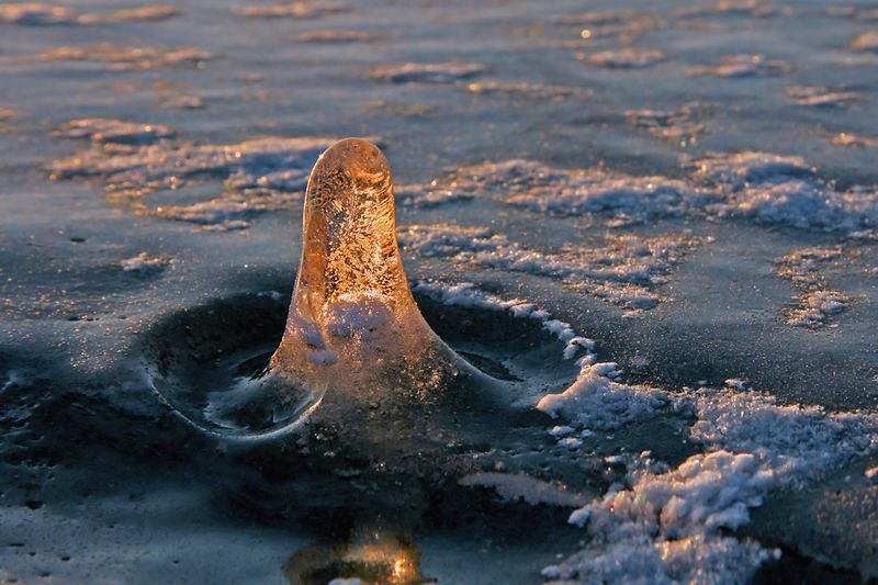 AROLE SUR LE FLEUVE  SEIN-LAURENT  (MAMELLE ARCTIC)