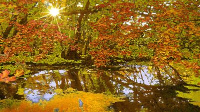 L'AUTOMNE MA MUSE