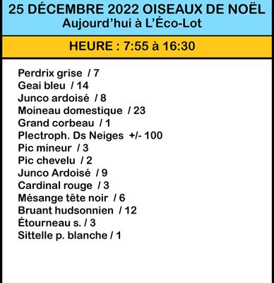 NOL 2022 / 25 / Dec :  L'co-Lot