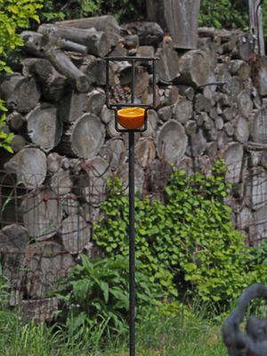 Oriole et colibri