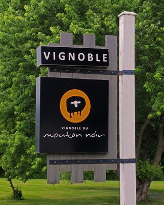 Vignoble du mouton noir / 2