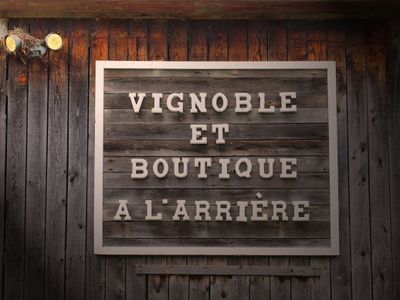 Vignoble du mouton noir / 4