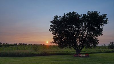 Pierre Joly PHOTOGRAPHE FocusNature