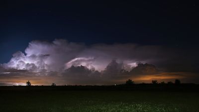 Pierre Joly PHOTOGRAPHE FocusNature