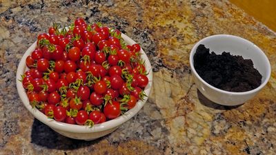 TOMATTES CERISES