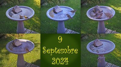 3_mai_2024_eco_lot