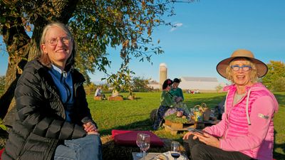 LES VENDANGES DU MOUTON NOIR 2024